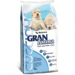 Crocchette cane Gran Forma cuccioli Nutrena Raggio di Sole Iuzzolini Fortunato