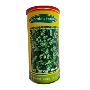 Semi prato trifoglio nano - Iuzzolini Fortunato