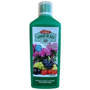Concime liquido rinverdente Sangue di Bue Raggio di sole, ideale per la concimazione di tutte le piante, come ad esempio l'olivo, il geranio, l'olivastro, gli agrumi ecc. Fertilizzante che aiuta la crescita delle foglie, il loro rinverdimento, e la differenziazione di verde.