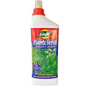 concime liquido per piante verdi da interno ed esterno, velocizza la crescita delle piante, stimola la produzione di foglie e germogli, migliora il colore delle foglie