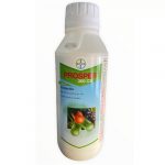 Prosper 300 cs Bayer - Iuzzolini Fortunato