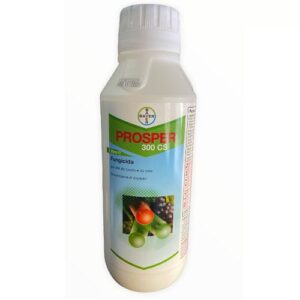 Prosper 300 cs Bayer - Iuzzolini Fortunato