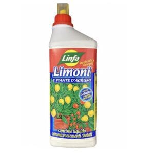 concime per Limoni