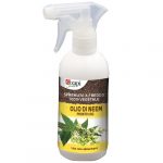 Olio di neem piante - Iuzzolini Fortunato