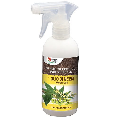 Olio di neem piante - Iuzzolini Fortunato