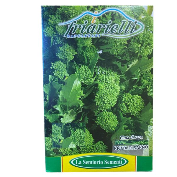 Semi CIMA DI RAPA 40 60 90 120 semente FRIARIELLI NAPOLETANI sementi