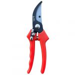 Forbici da potatura da giardino, di buona qualità, sono economiche e tagliano bene, ideali per la pota e per potare le piante in giardino ed in campagna