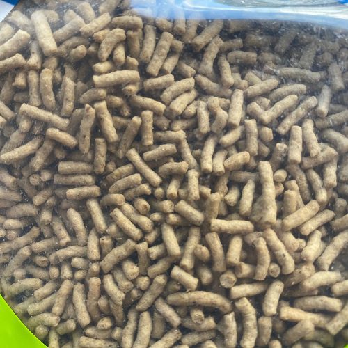 Alimento estruso per uccelli insettivori Fly Iuzzolini Fortunato