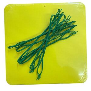 Trappola cromotropica gialla cicalina vite Iuzzolini Fortunato