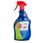 Insetticida spray per formiche e scarafaggi deltametrina Iuzzolini Fortunato