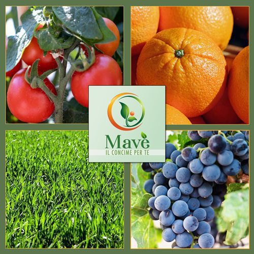 Concime Crescita e maturazione Bio Mavè - immagine 3