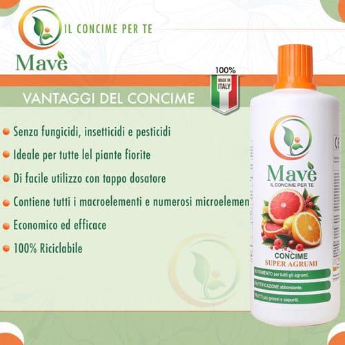 Vantaggi del concime mavè super agrumi iuzzolini fortunato