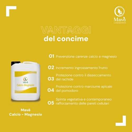 I vantaggi di Mavè calcio magnesio iuzzolini fortunato