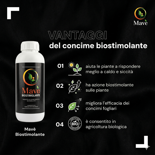 A cosa serve mavè biostimolante iuzzolini fortunato