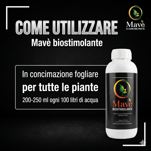 come utilizzare mavè biostimolante iuzzolini fortunato