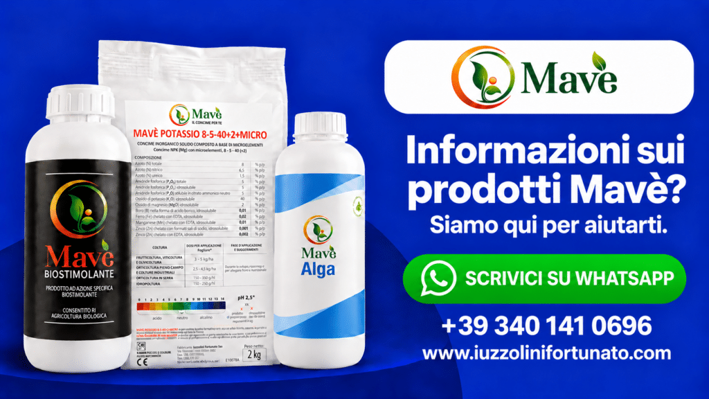 Informazioni sui prodotti Mavè? Scrivici su WhatsApp al +39 340 141 0696.